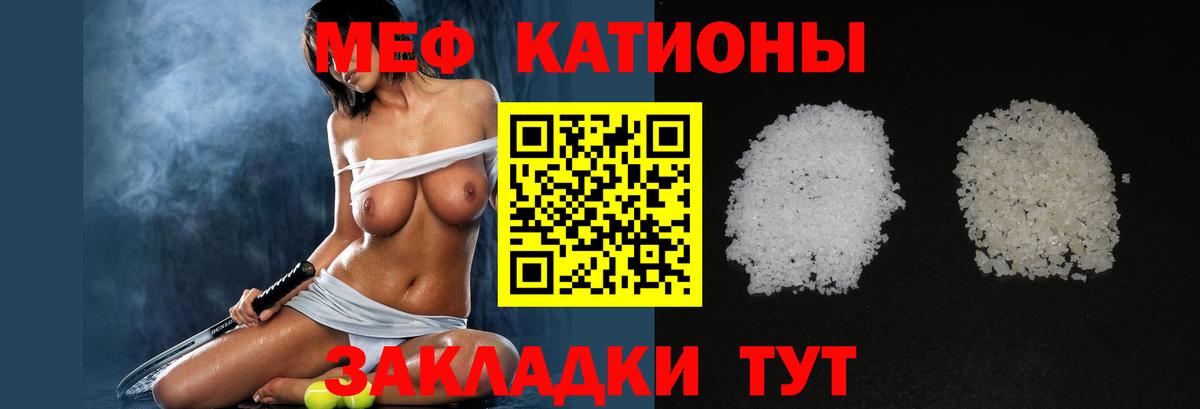 МЕФ  Кашира