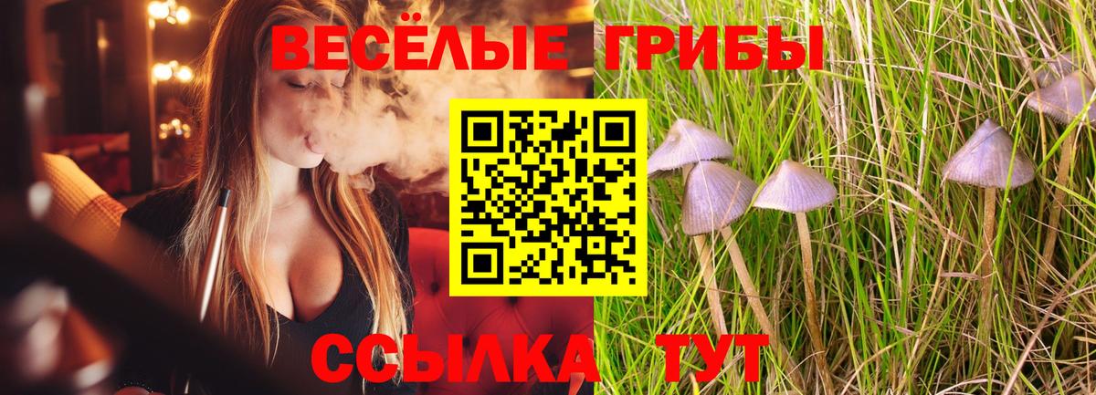 Кашира  Псилоцибиновые грибы Magic Shrooms  Вход с VPN  Псилоцибиновые грибы мицелий 