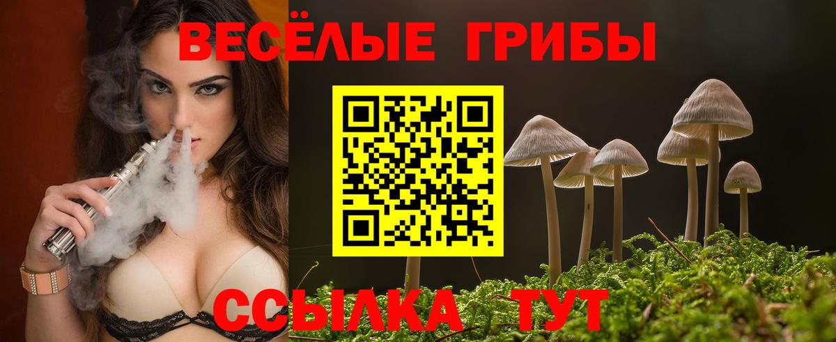 Галлюциногенные грибы Magic Shrooms Кашира